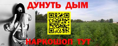 гидра Волгодонск