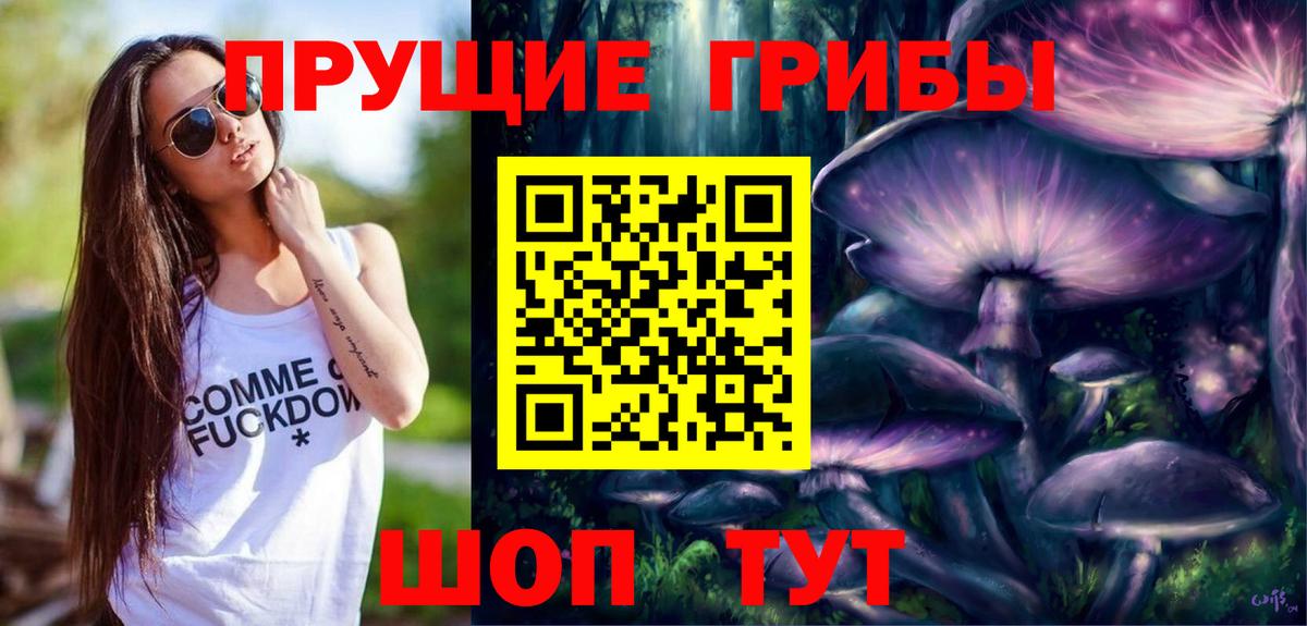 Псилоцибиновые грибы ЛСД Северск