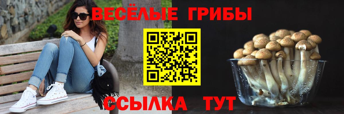 Псилоцибиновые грибы Magic Shrooms  Вход с VPN  Северск 