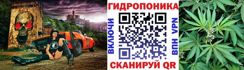 Бошки марихуана семена  Северск 